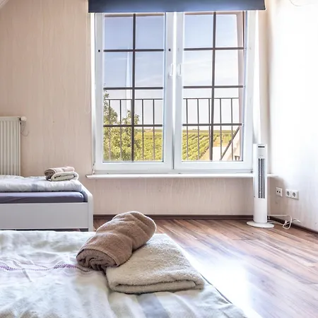Arbeitnehmerunterkunft 6 Personen Mit Grosser Terrasse Апартаменты Sulzheim (Rhineland-Palatinate)