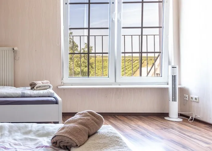 Arbeitnehmerunterkunft 6 Personen Mit Grosser Terrasse Apartamento Sulzheim (Rhineland-Palatinate)